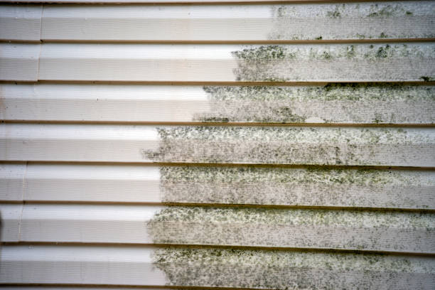 Best Yard Waste Removal  in West Pelzer, SC